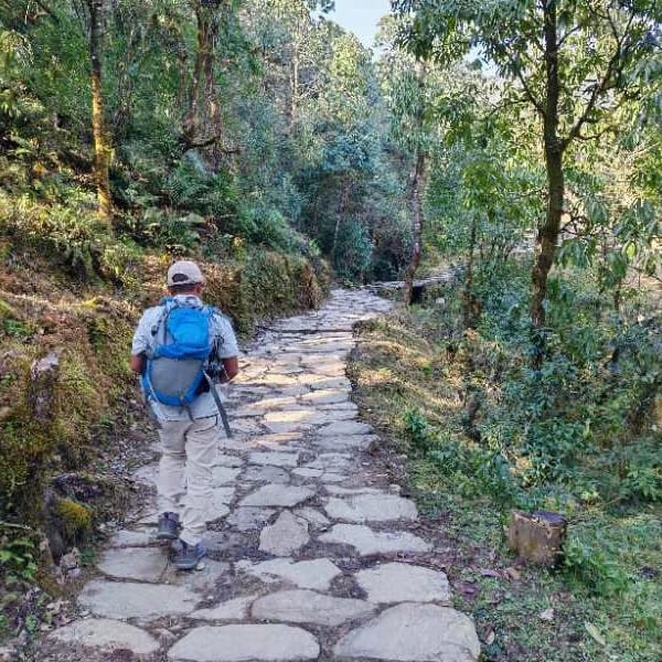 Mardi Himal Trek trek photo 7
