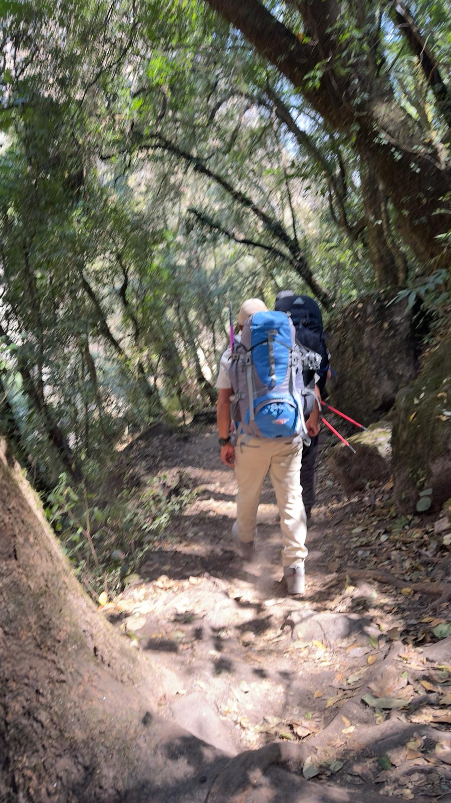 Langtang Valley Trek trek photo 3
