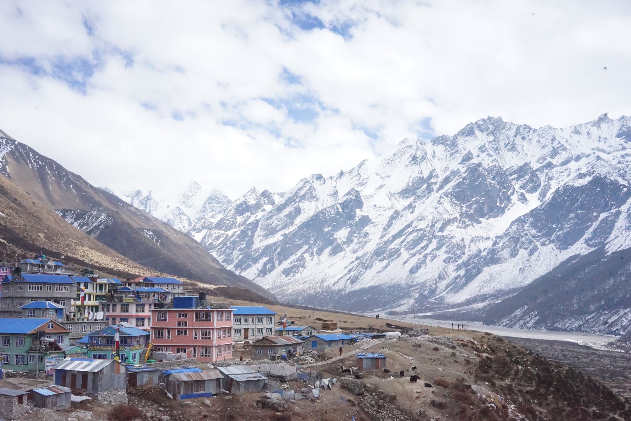Langtang Valley Trek trek photo 7