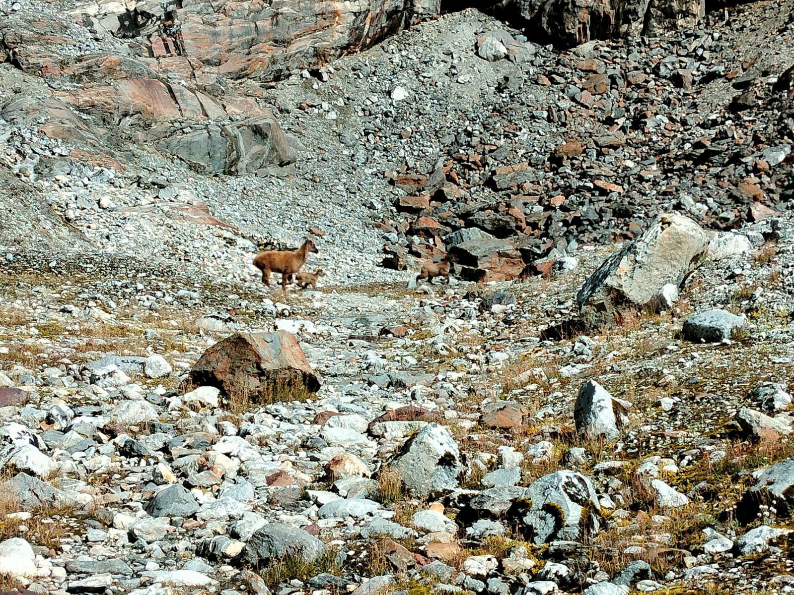 Ama Dablam Base Camp & Gokyo Trek trek photo 8