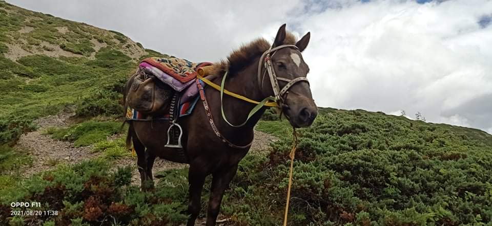 Nar Phu Trek trek photo 9