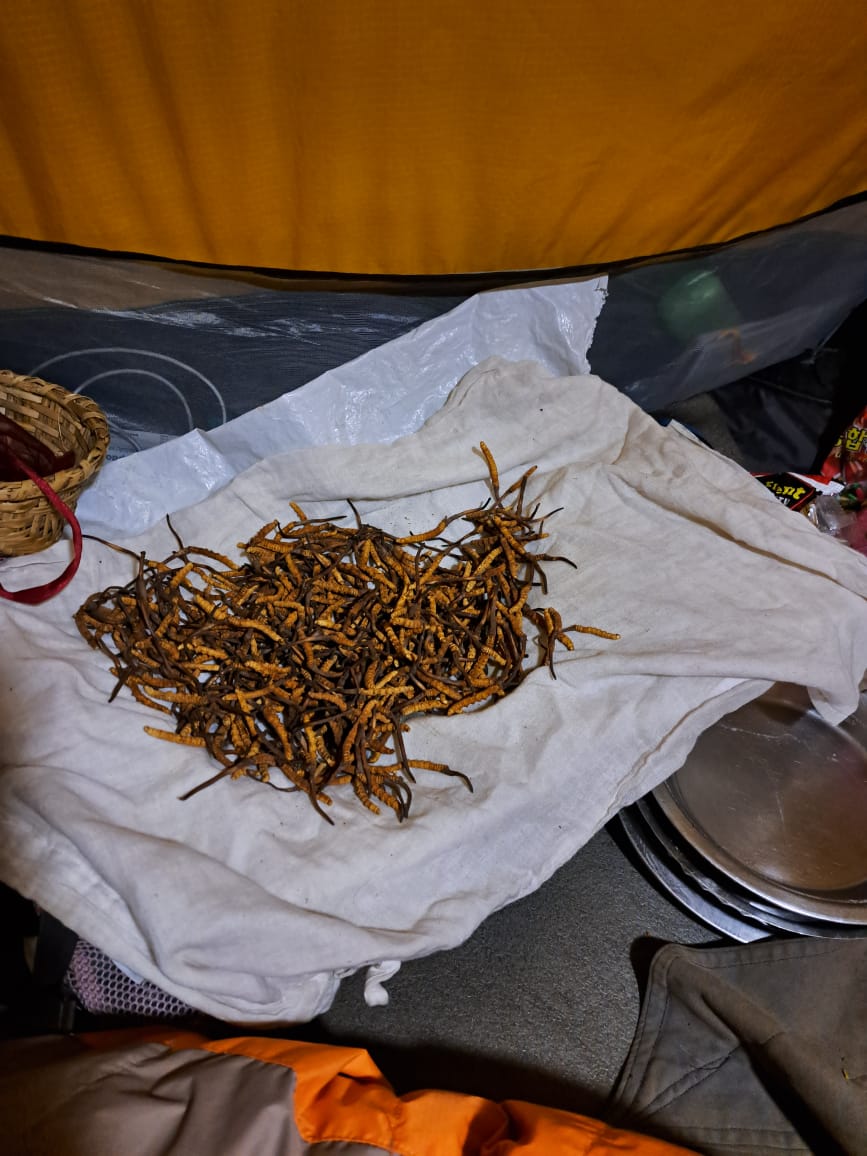 Nar Phu Trek trek photo 10