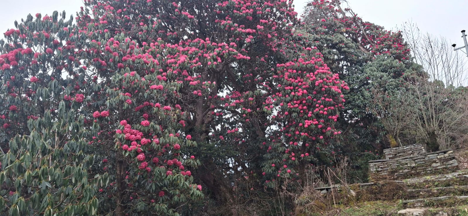 Tsum Valley Trek trek photo 2